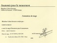 Attestation Anatomie pour le Mouvement - Karine Leurquin