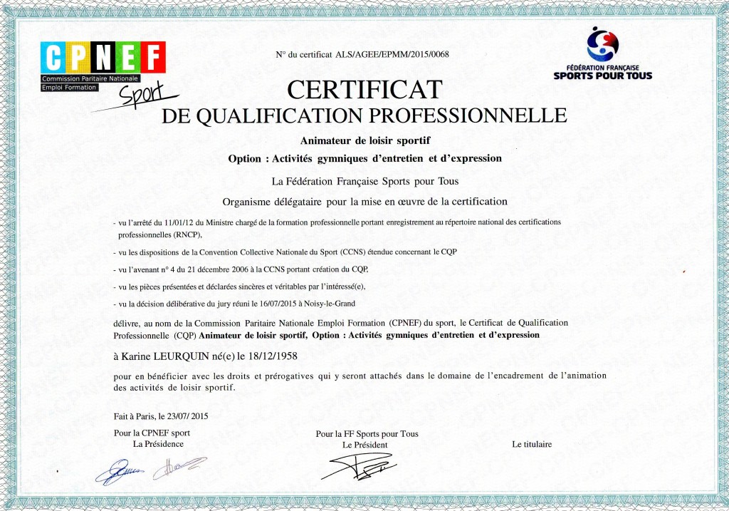 diplome qualification professionnelle