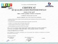 Certificat de Qualification Professionnelle – CQP Karine Leurquin