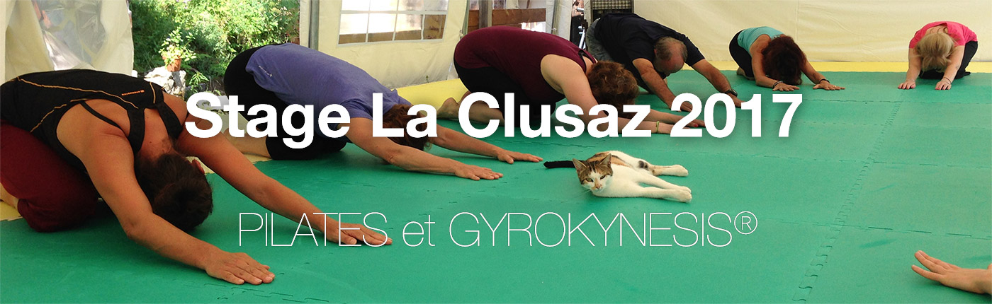 Karine Leurquin Stage La Clusaz 2017 Pilates GYROKYNESIS® et autres techniques somatiques : Feldenkrais, ELDOA, Abdos Sans Risque®